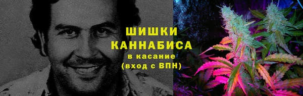 бошки Заводоуковск