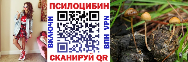 блэк спрут как зайти  Зеленодольск  Галлюциногенные грибы Cubensis 